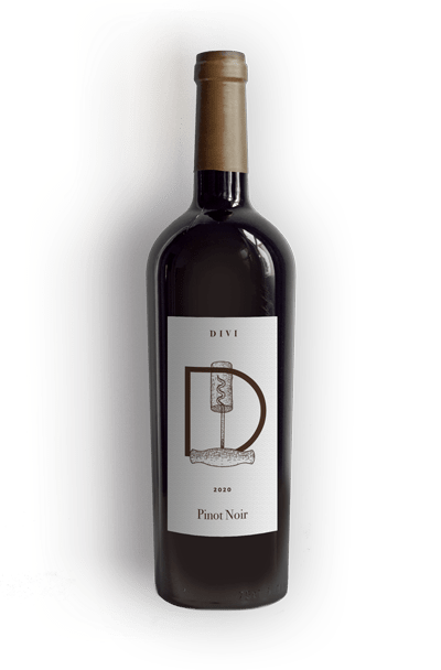 winery-49